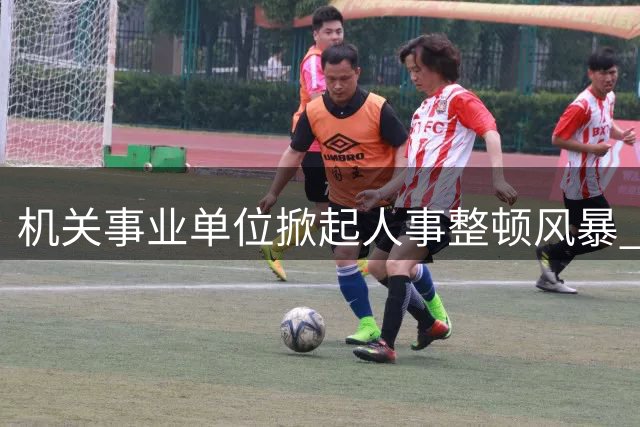 机关事业单位掀起人事整顿风暴 六类人员面临清退